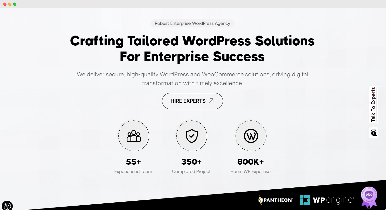 Jnext -WordPress Maintenance Companies in USA