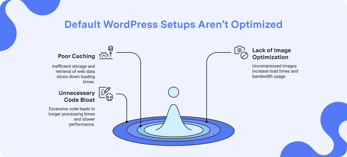 Default WordPress Setup